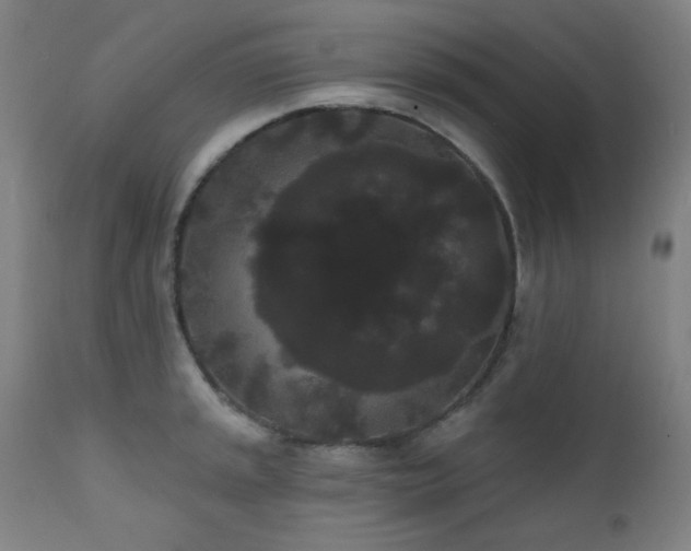 X0000111461045200907131451