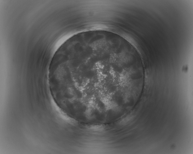 X0000111461047200907131451