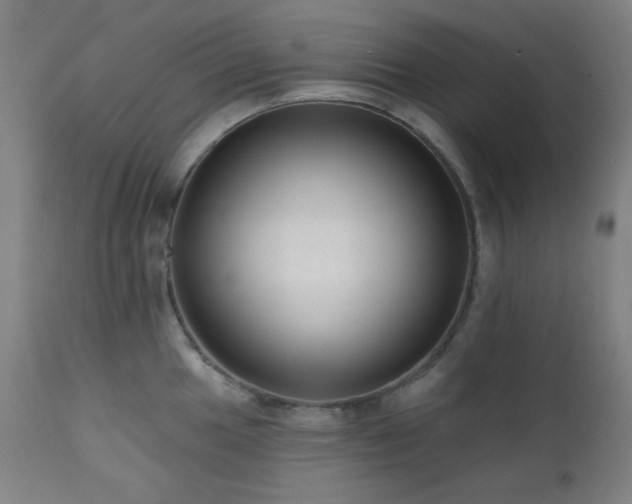 X0000111461049200907131451