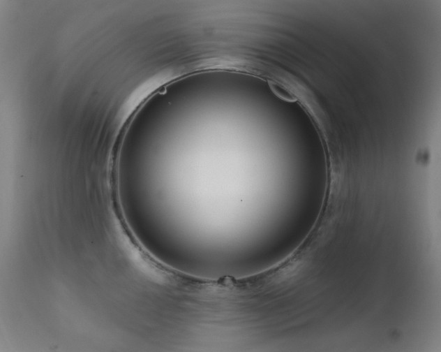 X0000111461050200907131451