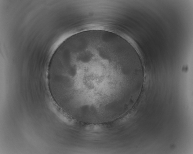 X0000111461051200907131451