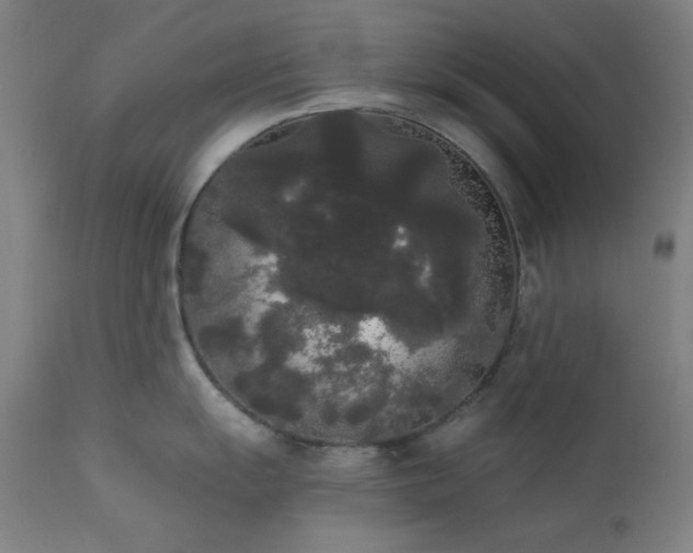 X0000111461055200907131451