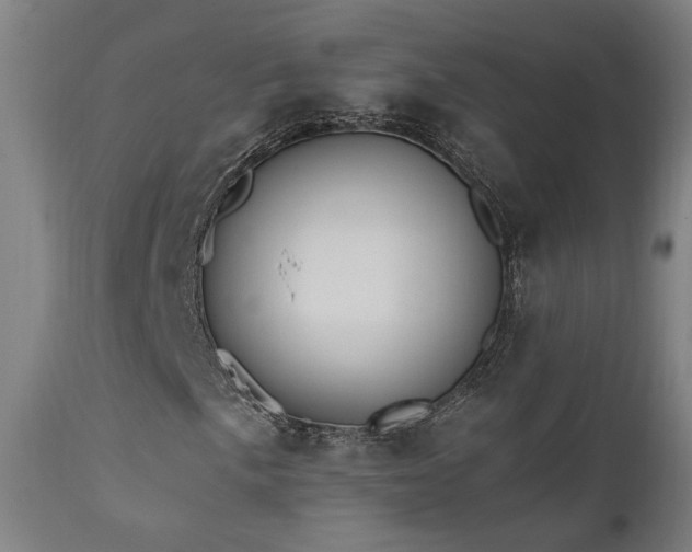 X0000111461057200907131450
