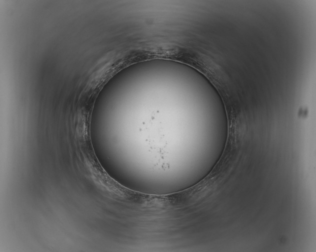 X0000111461058200907131450