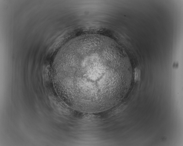 X0000111461059200907131450