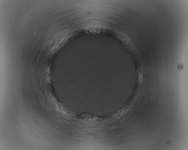 X0000111461060200907131450