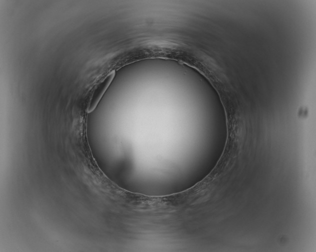X0000111461061200907131450