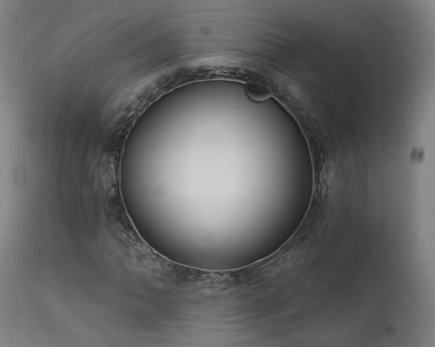 X0000111461062200907131450