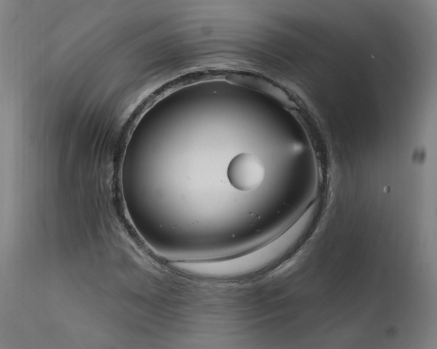X0000111461065200907131450