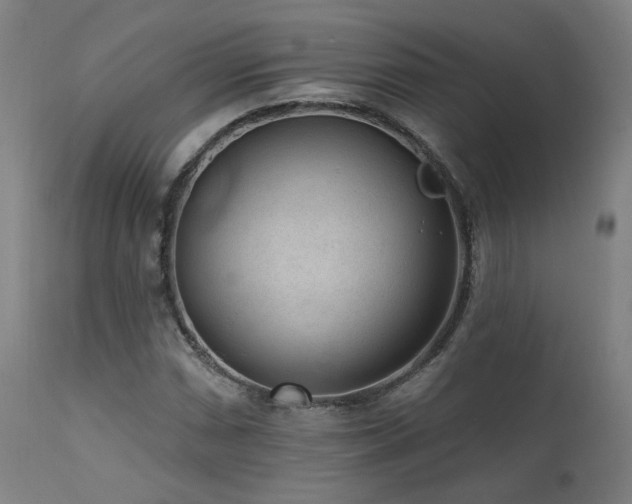 X0000111461066200907131450
