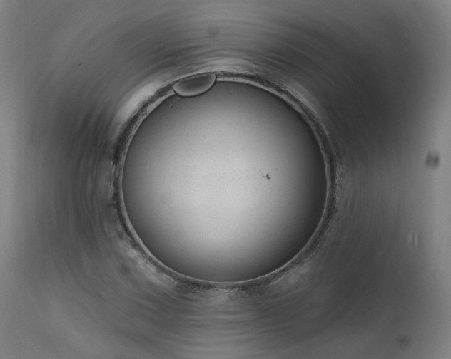 X0000111461067200907131450