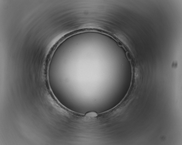 X0000111461068200907131450