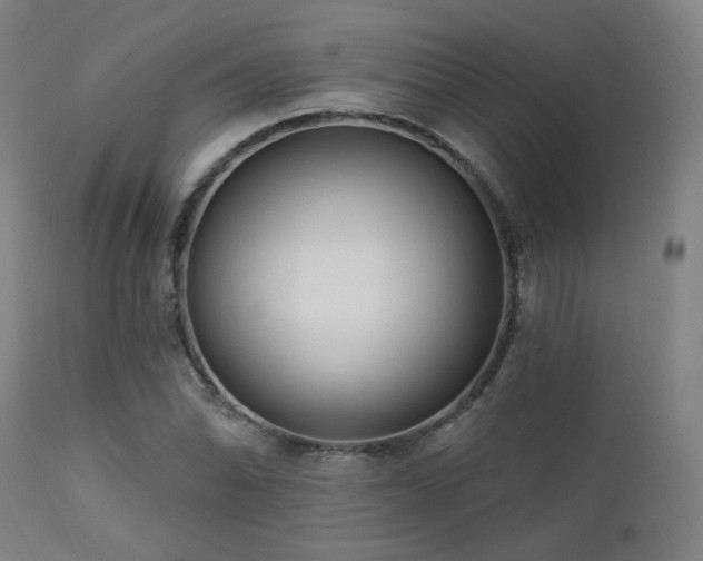 X0000111461070200907131450