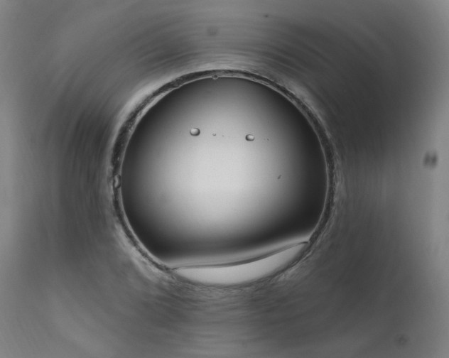 X0000111461072200907131450