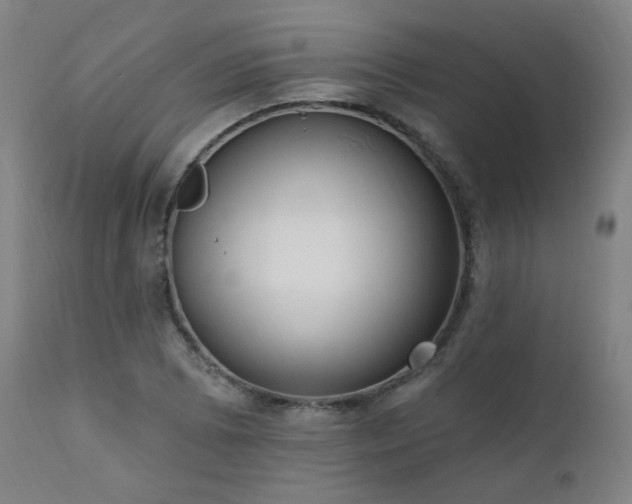 X0000111461073200907131450