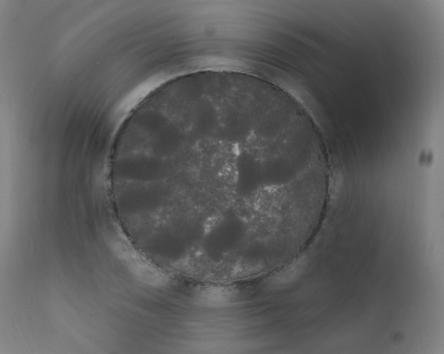 X0000111461074200907131450