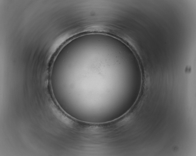 X0000111461075200907131450