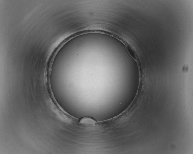 X0000111461076200907131450