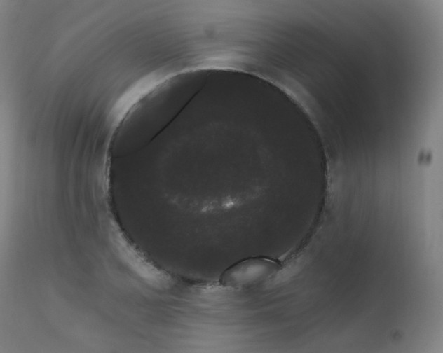 X0000111461077200907131450