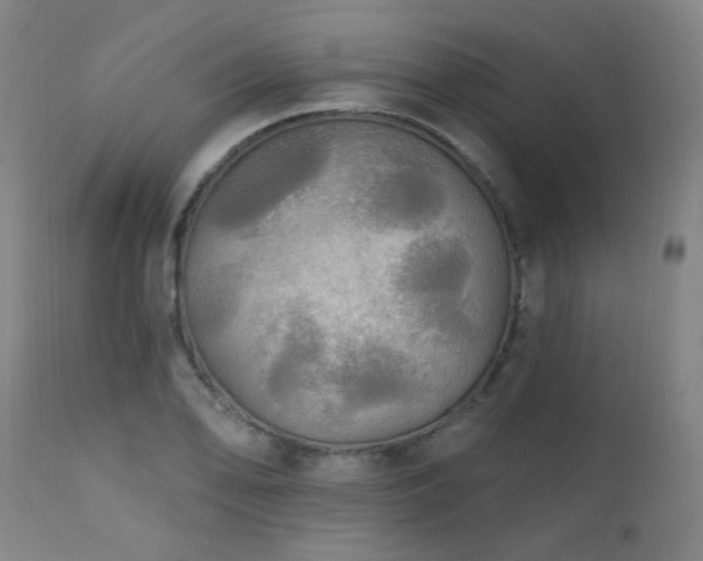 X0000111461078200907131450