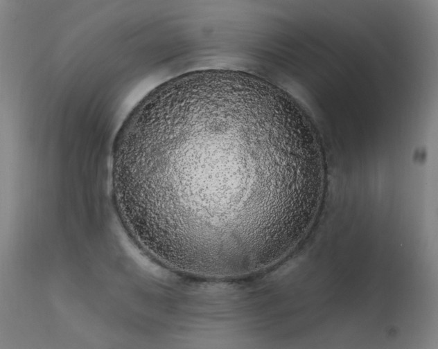 X0000111461079200907131450
