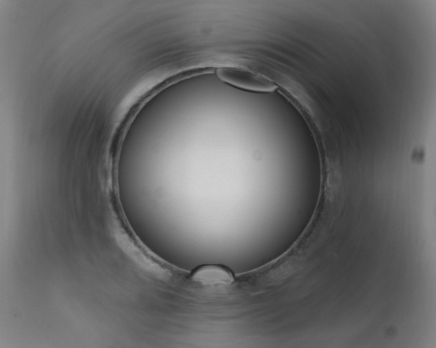 X0000111461080200907131450