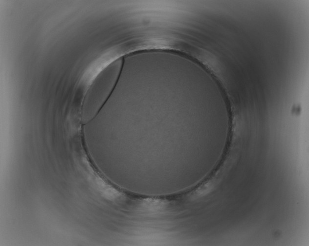 X0000111461081200907131449