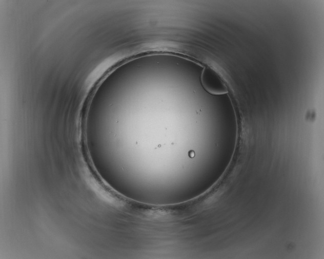 X0000111461082200907131449