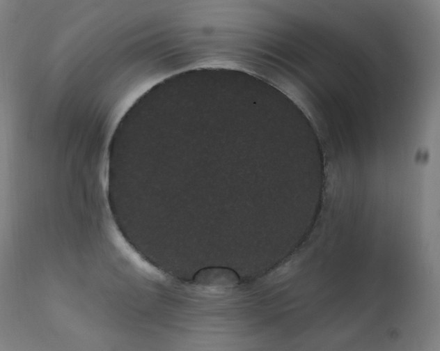 X0000111461084200907131449