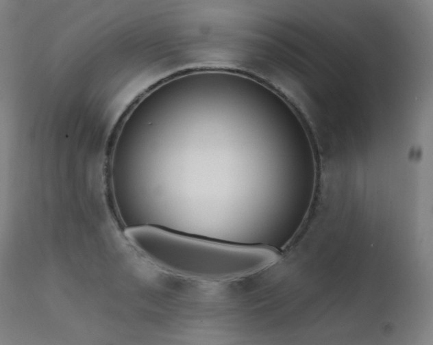 X0000111461085200907131449
