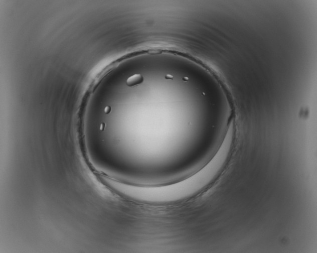 X0000111461086200907131449