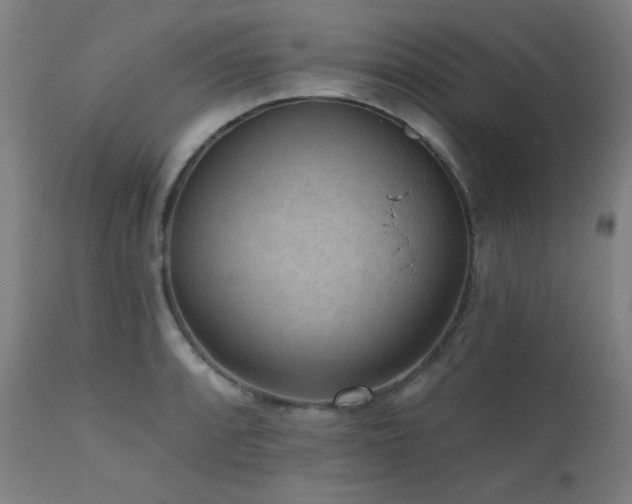 X0000111461088200907131449