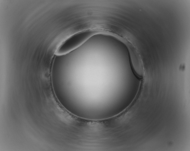 X0000111461089200907131449