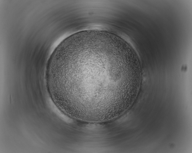 X0000111461091200907131449