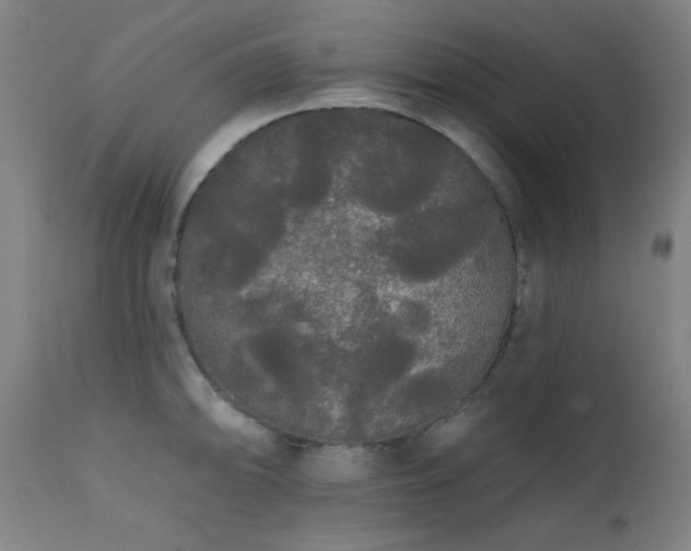 X0000111461094200907131449