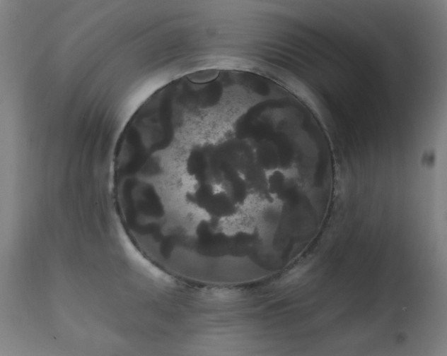 X0000111461095200907131449