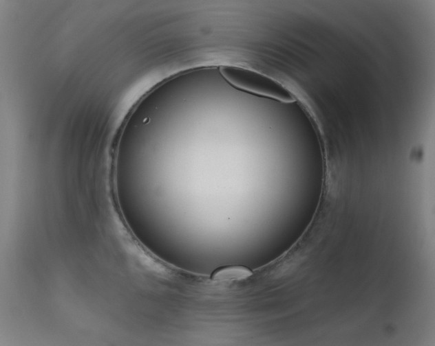 X0000111461096200907131449