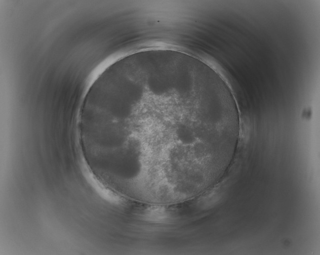 X0000111461098200907131449