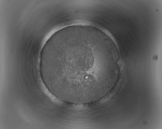 X0000111461099200907131449