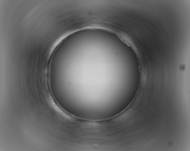 X0000111461100200907131449