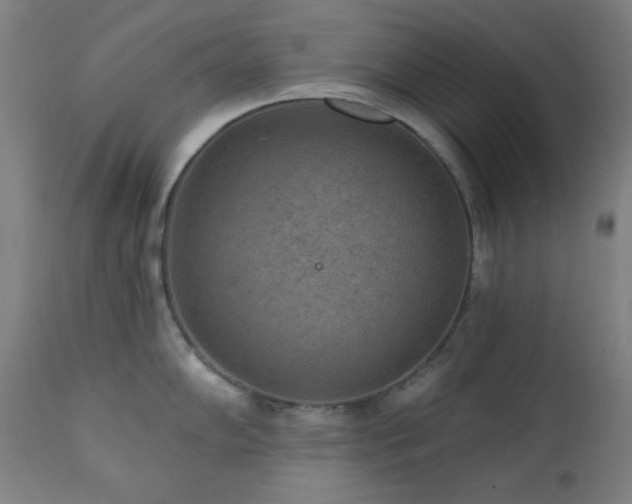 X0000111461102200907131449