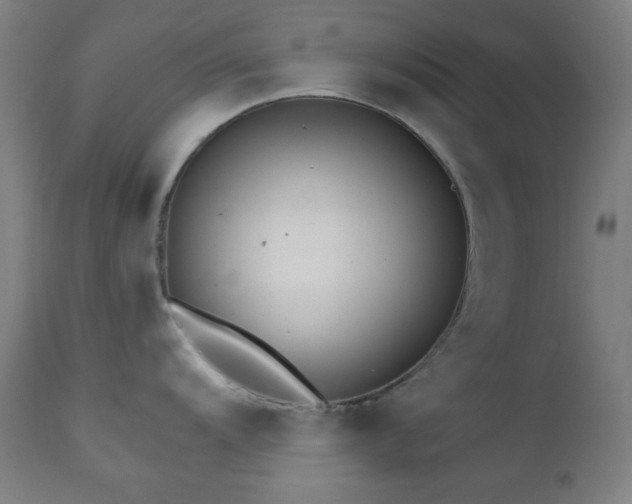 X0000111461104200907131449