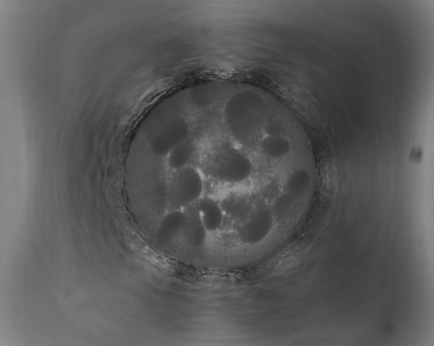 X0000111461105200907131448