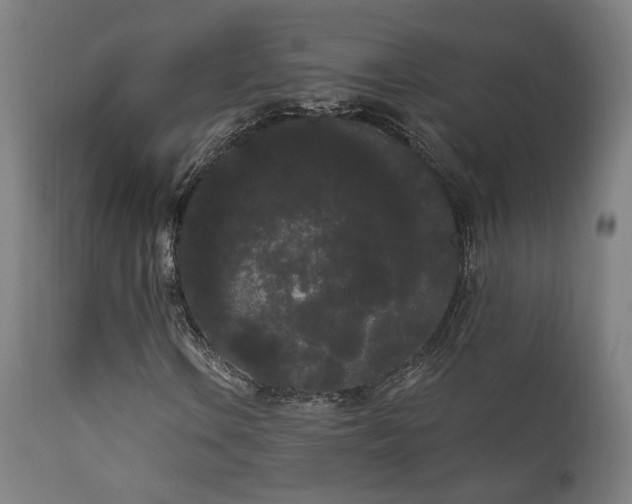 X0000111461106200907131448
