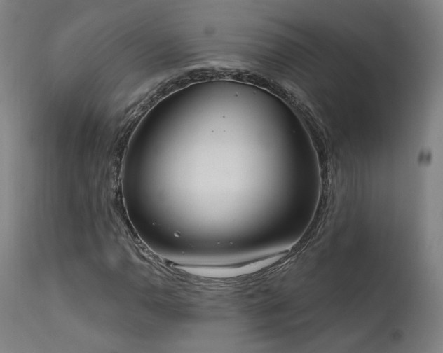 X0000111461110200907131448