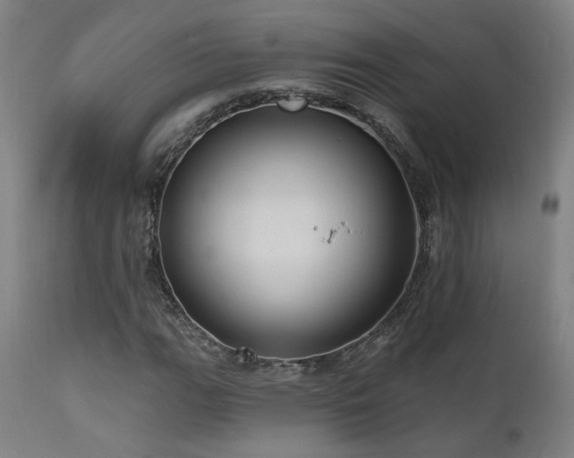 X0000111461111200907131448
