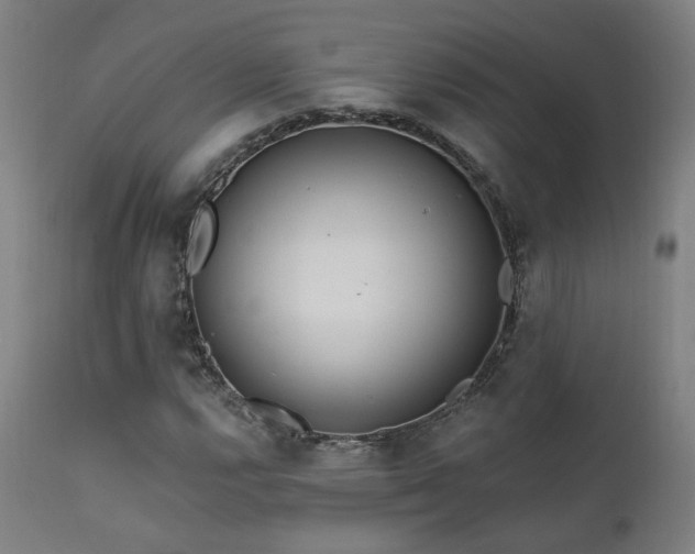 X0000111461112200907131448