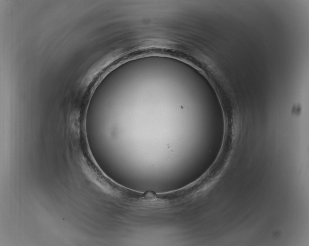X0000111461113200907131448