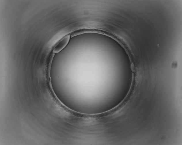 X0000111461114200907131448