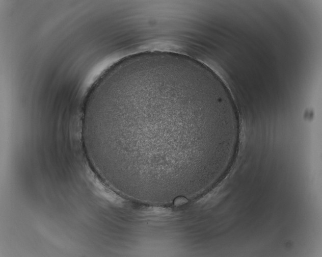 X0000111461115200907131448